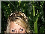 Hodumi-2008online-044.jpg