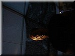 Hodumi-2008online-094.jpg